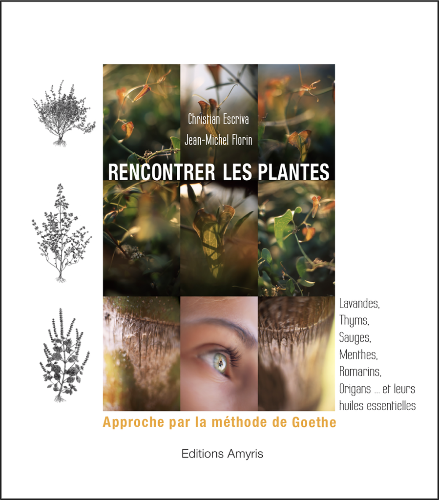 Rencontrer les plantes - Escriva Christian - Florin Jean-Michel
