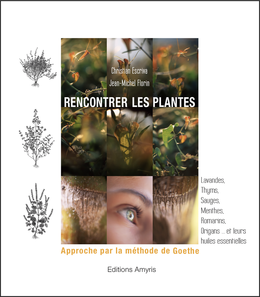 Rencontrer les plantes NEW