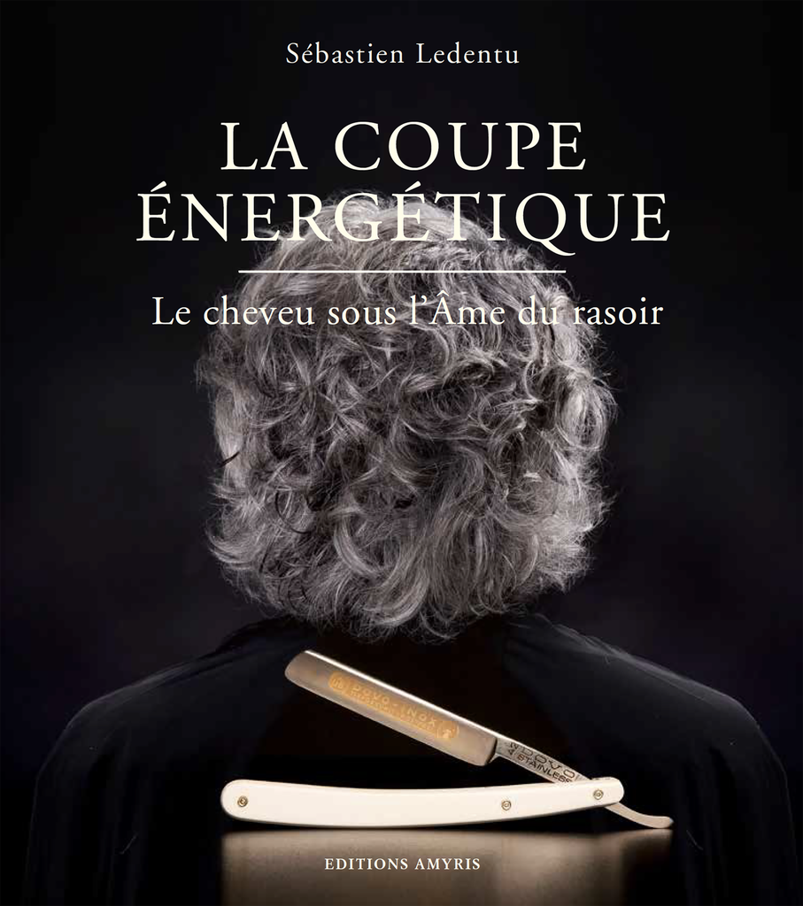 La coupe énergétique - Ledentu Sébastien